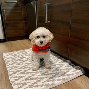 Meet your Posher, Eberto